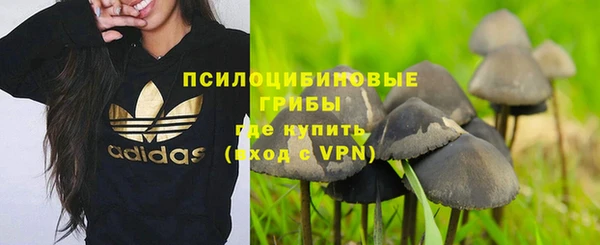 винт Семилуки